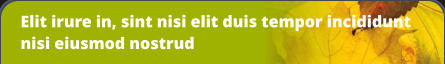 Elit irure in, sint nisi elit duis tempor incididunt nisi eiusmod nostrud